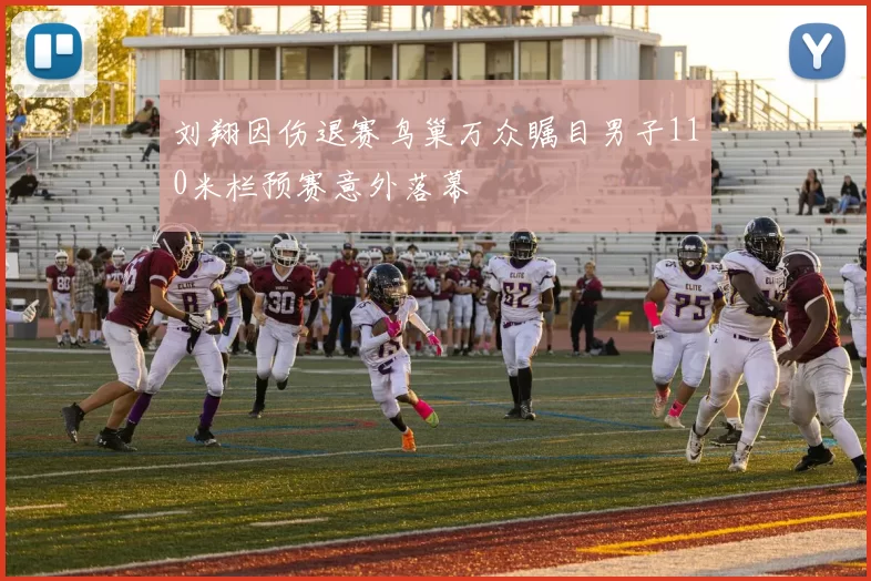 刘翔因伤退赛鸟巢万众瞩目男子110米栏预赛意外落幕