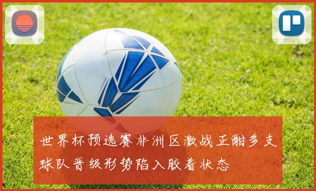 世界杯预选赛非洲区激战正酣多支球队晋级形势陷入胶着状态