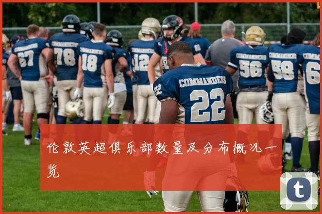 伦敦英超俱乐部数量及分布概况一览