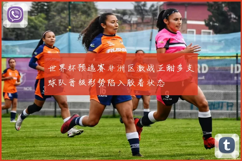 世界杯预选赛非洲区激战正酣多支球队晋级形势陷入胶着状态