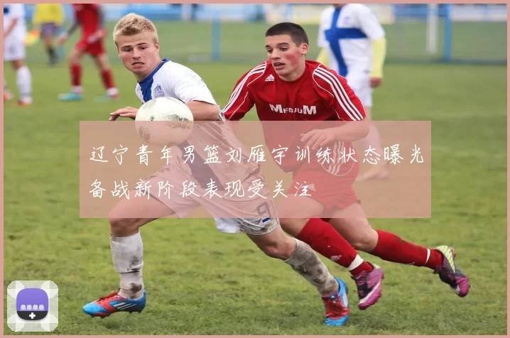 辽宁青年男篮刘雁宇训练状态曝光备战新阶段表现受关注